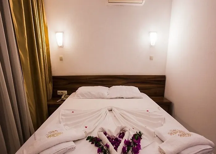 Asel מלון גוינוק